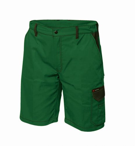 WESTERLO Twill Shorts / grn-schwarz